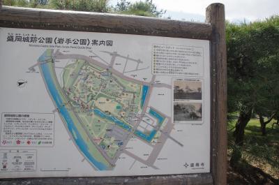 桜の盛岡城跡公園