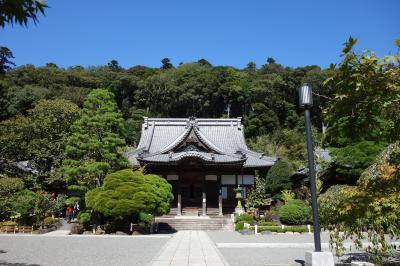 伊豆マリオットホテル修善寺 修善寺散歩編