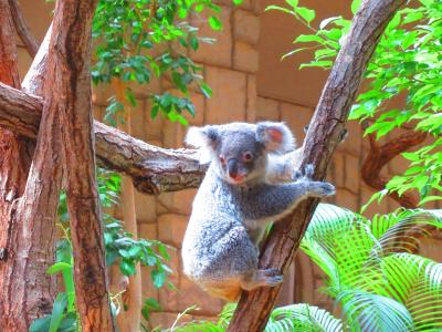 名古屋で「東山動植物園」と「リニア・鉄道館」へ