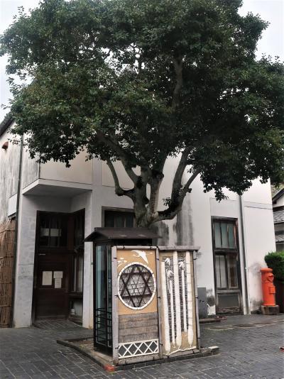 広島-7  竹原-4  町並み保存地区ｃ　歴史民俗資料館　町並み保存センター　☆格子窓が特徴的で