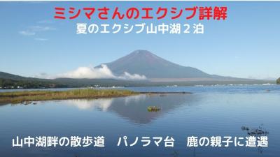 ０６．夏のエクシブ山中湖２泊　山中湖畔の散歩道　パノラマ台　鹿の親子に遭遇