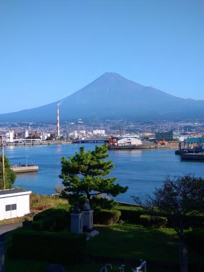 母を連れて田子の浦港・ふじのくに田子の浦みなと公園　撮影失敗！