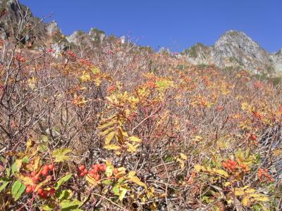 2021秋山旅・木曽駒ケ岳千畳敷カール～草紅葉の絨毯♪