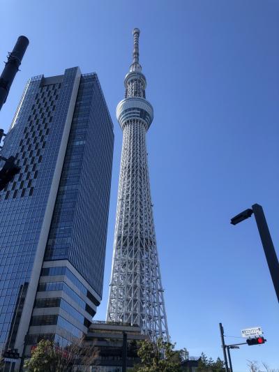 コロナ禍前に1人で東京観光①【2020年2月】