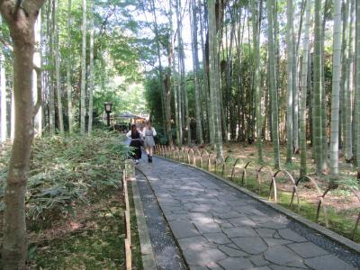 修善寺温泉にて(その1)　湯回廊菊屋と竹林の小径、独鈷の湯など