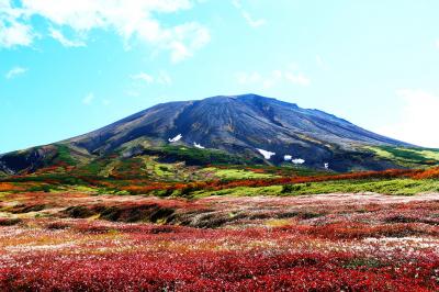 神々の遊ぶ庭、紅葉の旭岳トレッキング