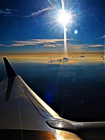 JAL260便　大井川　富士山　伊豆/三浦半島　羽田空港へ　☆夕陽を浴びて　水面/銀翼輝く