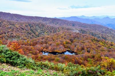 ないだて！秋の山形さ行ぐだ - 前編