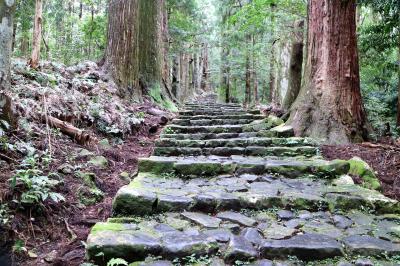 高野山から熊野三山そして白浜へ電車とバスをひたすら乗り継いで東北からの一人旅。