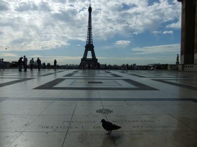 Mon　Paris　Ⅱ　（Tour Eiffel)