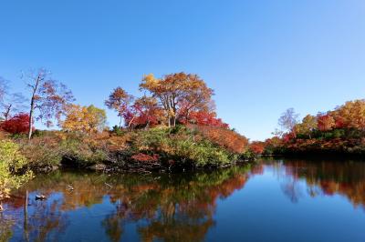 日本一早い秋の大雪山系　（３）奇跡の絶景・彩色の大雪高原温泉沼めぐり