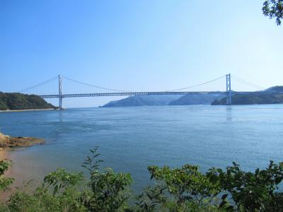 秋のしまなみ海道はコスモス街道～因島ブルーと猫の町