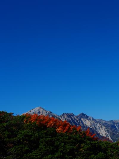 ～山歩き～　北アルプスの稜線まで行ってきた。