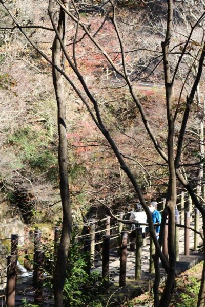 鬼怒川・花貫渓谷の紅葉