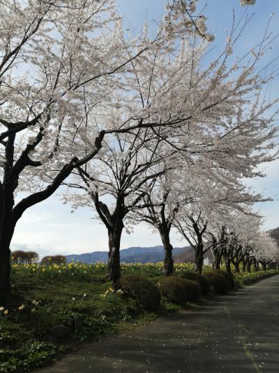 青春１８切符で日帰り旅　諏訪湖と松本城