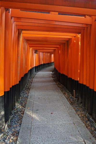 結婚○○周年記念、京都・奈良の旅♪　vol. 1   東寺、東福寺、伏見稲荷大社、ホテル インターゲート京都　四条新町