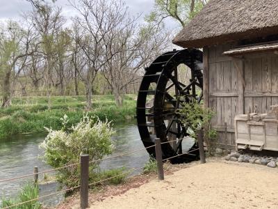 早春の信州旅行part1