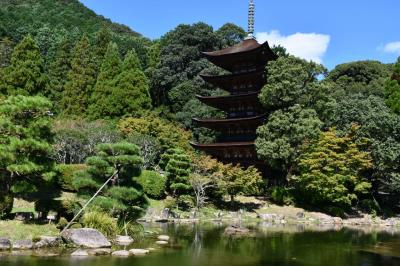 なんとも優美な瑠璃光寺様五重の塔