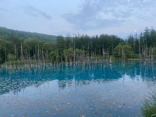 メロンを調達しに行くために北海道へ２