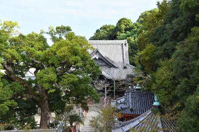 朝観光（44-2） 和歌山市