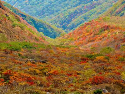 2021紅葉の一番は那須で①