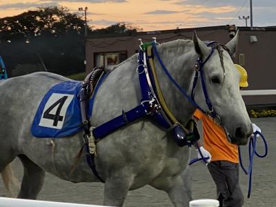 ばんえい競馬を見に　十勝の旅