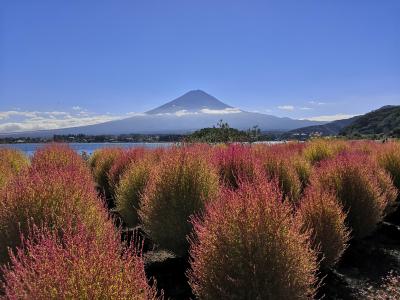 秋晴れ　富士山を見に