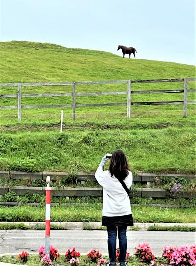 初秋の北海道 道南巡り②　苫小牧漁港・マルトマ食堂～ 新冠・サラブレッド牧場～ オグリキャップ記念公園 