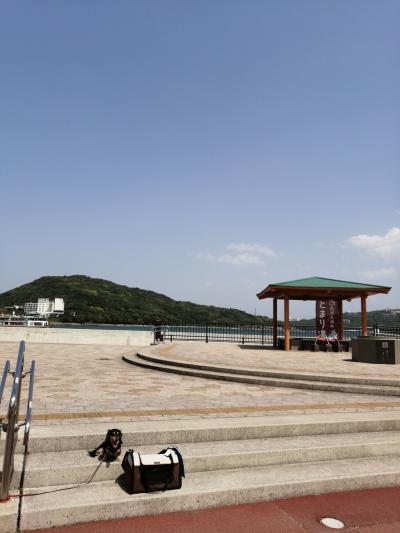 青空フリ―切符で日帰り旅　伊勢神宮と鳥羽