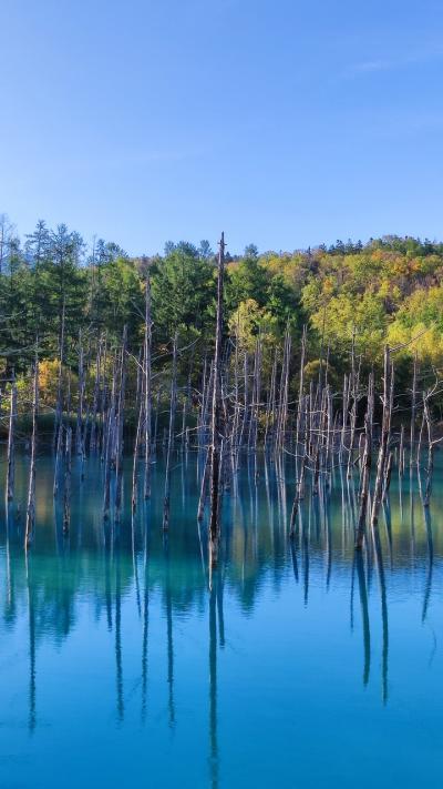 秋の北海道　美瑛・富良野