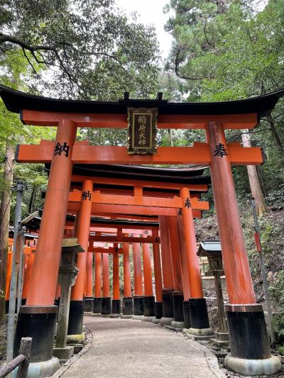 京都、上醍醐をお参りする旅
