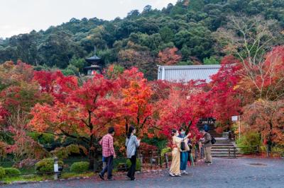 錦秋の京都 2020   南禅寺  永観堂