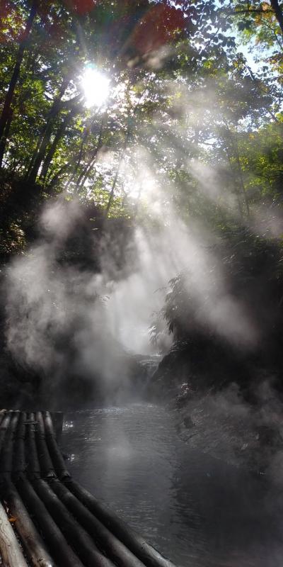 初めてのスカイマークで登別と札幌(2)登別から札幌