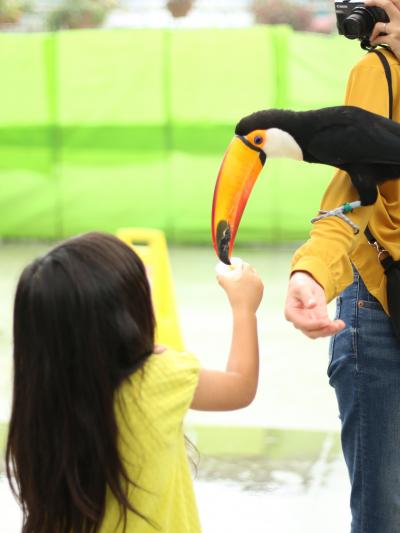 静岡県 子連れ旅行 に関する旅行記 ブログ フォートラベル