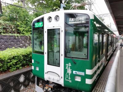楽しい乗り物に乗ろう！　阪神電鉄「別にタイガースファンではないのですがw　“TORACO電車＆甲子園電車＆トラッキー電車”」　～西宮・兵庫～