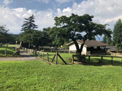 夏は群馬に避暑旅行！大渋滞からの伊香保グリーン牧場