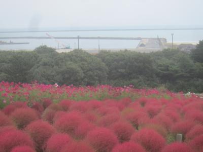 ひたちなか海浜鉄道に乗ってコキアを見に行く 那珂湊でも途中下車