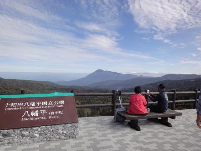 岩手県へ秋の山旅　③茶臼山～八幡平