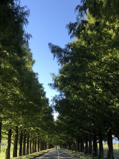 今年も琵琶湖の辺りで業界イベントに参戦！ちょこっと観光できるかな(^_^;) vol.2