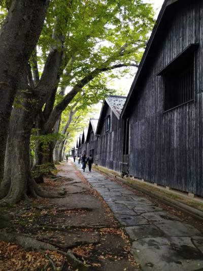 【山形・酒田】さかた海鮮市場と山居倉庫と本間美術館と夜 【前編】