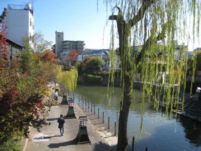 近鉄八尾駅から東京駅までの歴史街道を歩く旅:第5回（淀駅→丹波橋駅）（利用した歴史街道:京街道）