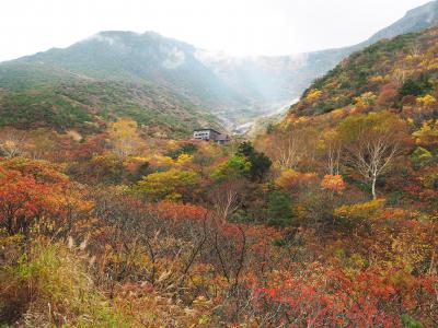 福島の秋　その1　ほんとの空と紅葉と　安達太良山日帰り登山編