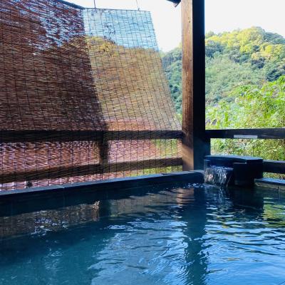 まだギリ?アラフィフ夫婦・ちょー久しぶりの旅行は山陰周遊その1【石見銀山と温泉津温泉】