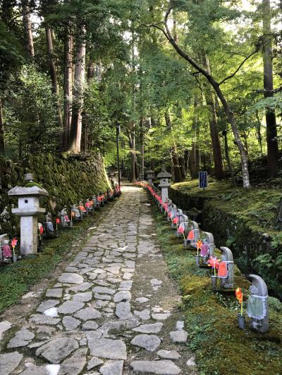 湖東三山紅葉はまだだけど風の音が