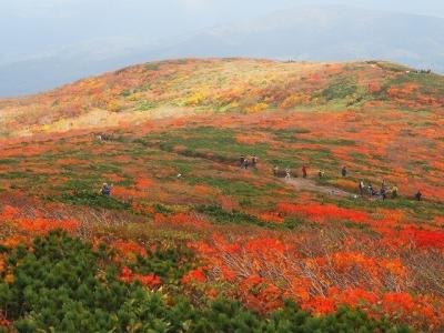 神の絨毯を見に行こう、秋の栗駒山ソロ登山
