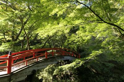 秋の松茸　信州と上州の優雅な旅♪　Vol.75 ☆伊香保温泉：初秋の美しい伊香保温泉♪