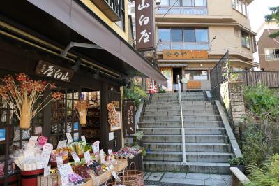 秋の松茸　信州と上州の優雅な旅♪　Vol.78 ☆伊香保温泉：初秋の美しい石階段♪