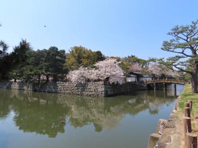 和歌山 和歌山城(Wakayama Castle, Wakayama, Japan)
