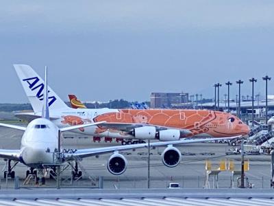 ようこそ成田へ♪フライングホヌ3号機ラーちゃんに会いに行こう