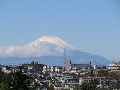 八幡谷から見る富士山